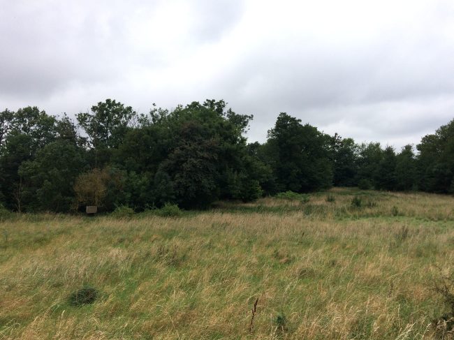 Naturarealer og engområde på Kæmpegård i Klemensker